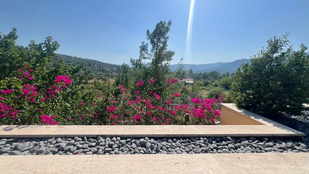 Villa view